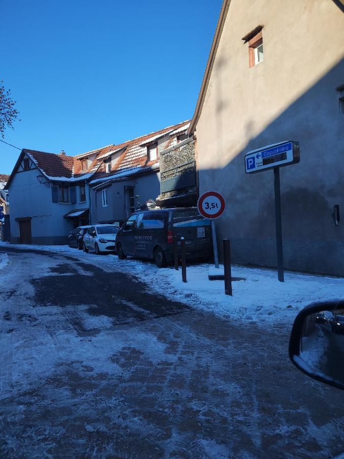 Magnifique Appartement T3 Agreable Et Moderne A Obernai Dış mekan fotoğraf